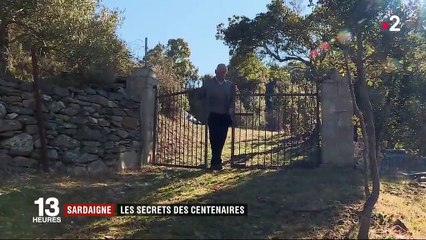 Sardaigne : l'air pur, secret des centenaires ?