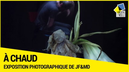[A CHAUD] - Exposition photos « Sinon nous sommes perdus »