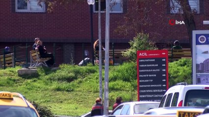 Tokat’ta kelebeklerin göçü görenleri şaşırttı