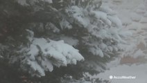 Powerful spring blizzard shuts down South Dakota