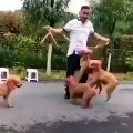 Regardez ce que font ces chiens avec leur maître. Le saut à la corde n'a jamais été aussi amusant !