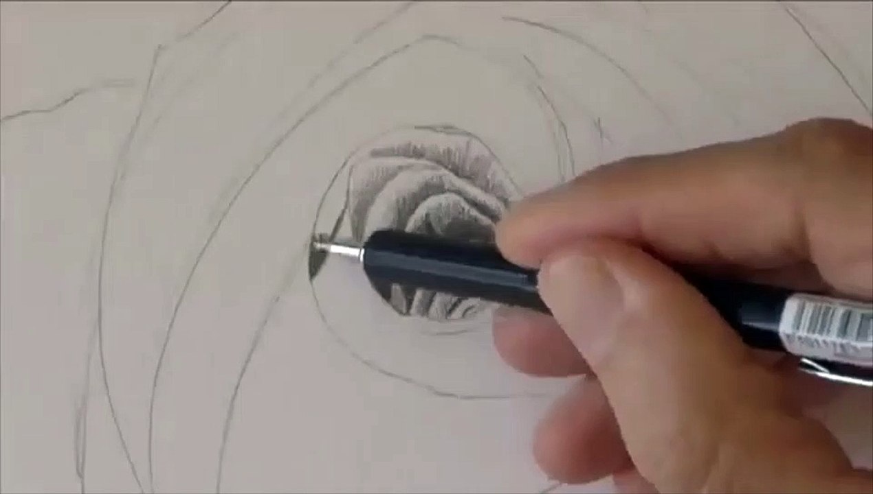 Drawing Flowers- How to Draw a Rose With Pencil
