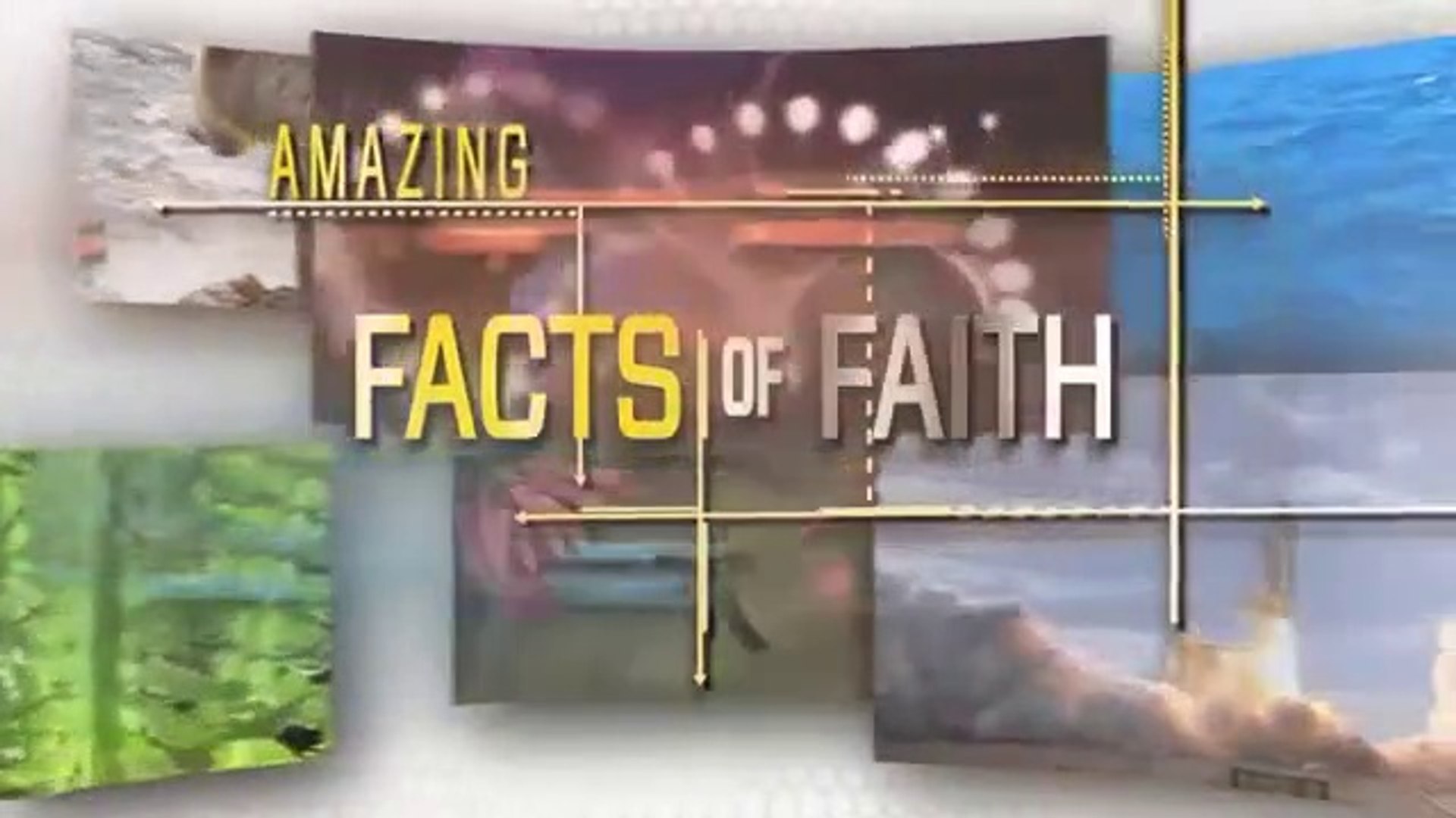 Fact of Faith