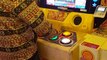 Hilarious Side By Side Gaming in Japanese Arcade