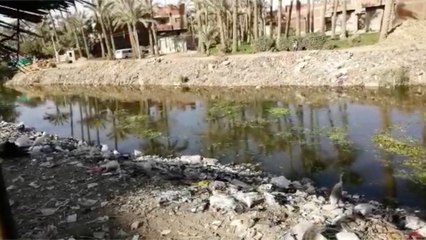 غرق 3 أطفال في سيارة سقطت بترعة المريوطية