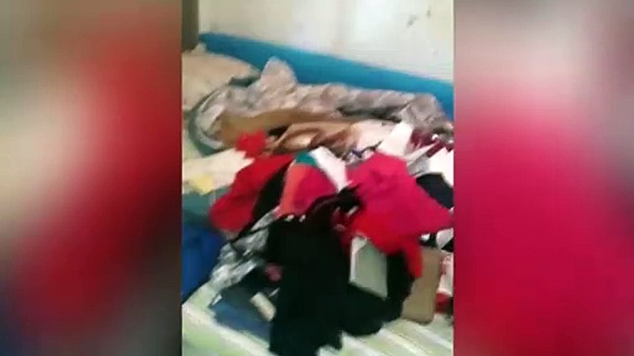 Ladrões levam carro e fazem limpa em casa no Un...
