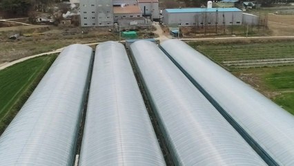 공장 냉각수·지하 단열...제로 시설 하우스 / YTN