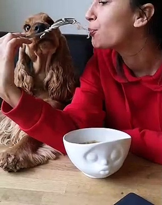 Cette femme partage des spaghettis avec son chi...