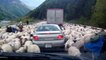 Des centaines de moutons causent un embouteillage sur cette route