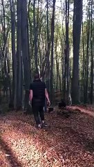 Il arrache un arbre.. et prend l'autre dans la tête !