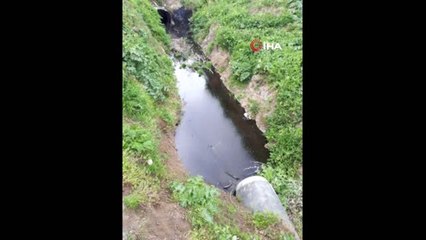 Tekirdağ'da Dereye Kimyasal Atık Döküldüğü İddiası