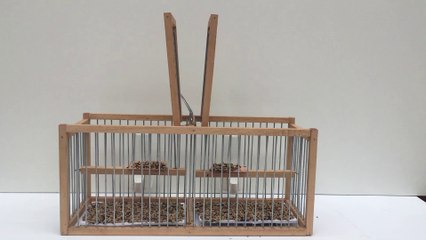 JAULA TRAMPA JILGUEROS