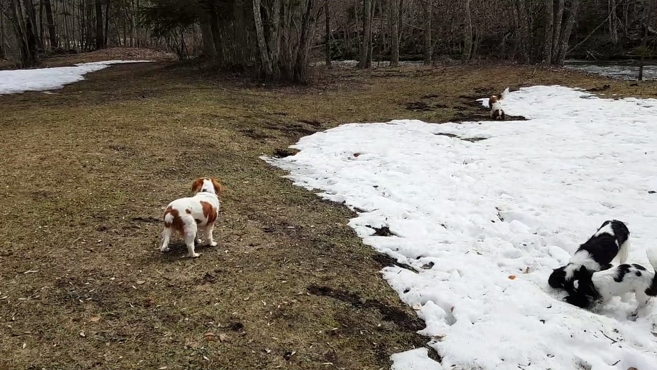 Encore un peu de neige