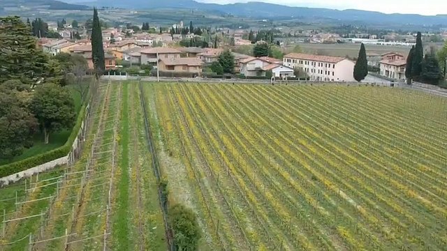 Nagy utazás: Optimista borexportőr