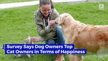 Survey Says Dog Owners Top Cat Owners in Terms of Happiness