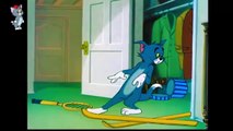 Tom and Jerry 2018 | Frozen Cat | Cartoon For Kids