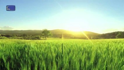 【東方閃電】キリスト教会讃美歌「神の受肉の権威と意義」