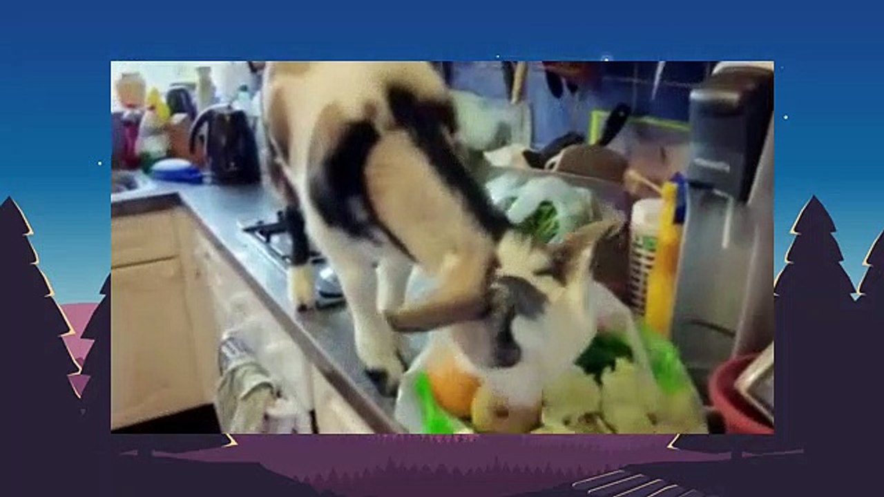 Obsessive Compulsive Cleaners S02E02