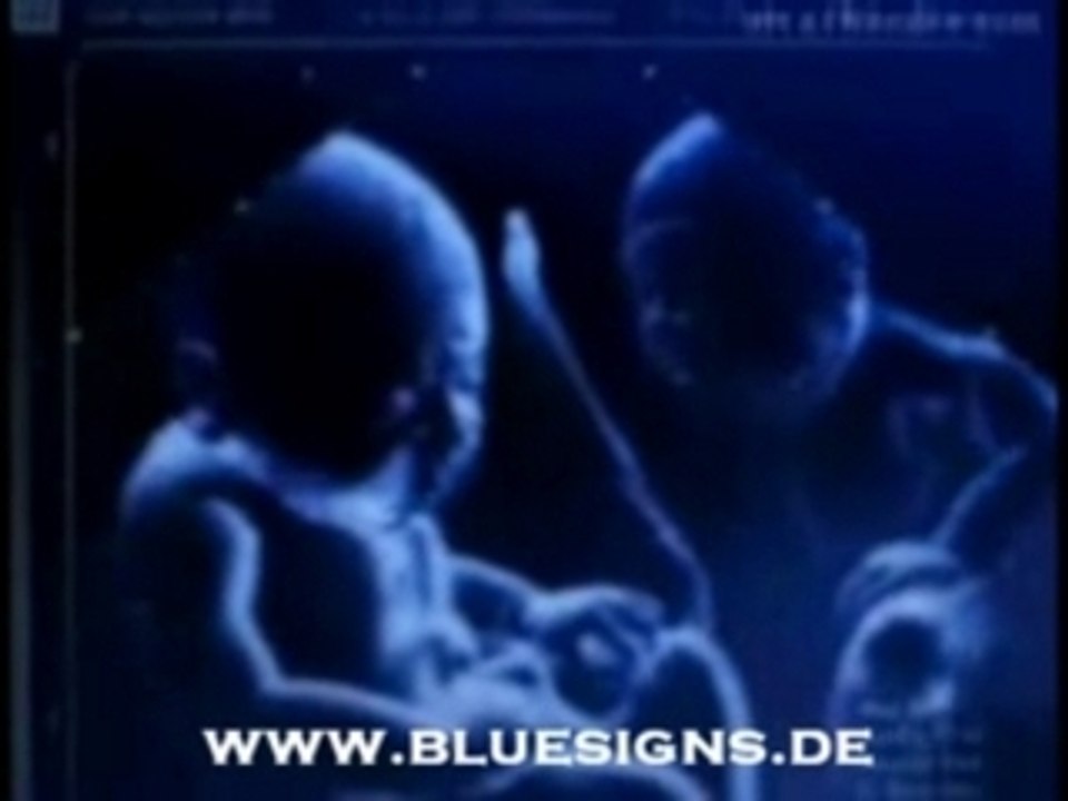 Ein leben lang Schalker.