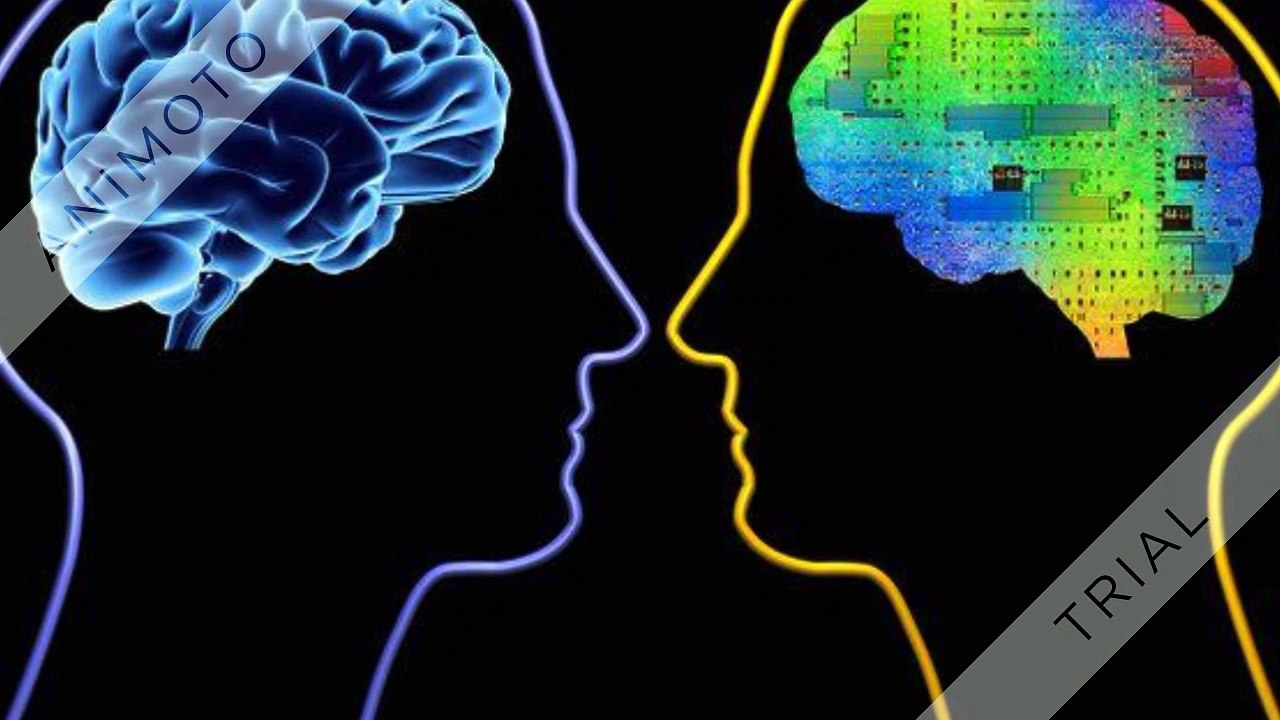 Neuro 24 Brain - Create More Brain Cells For Mind