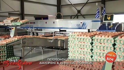 Όρεξη να χεις S08EP25