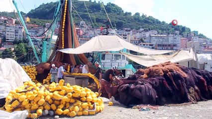 Su Ürünleri Kooperatifi Başkanı Hamdi Arslan: 'Önlem alınmazsa hamsinin geleceği tehlikede'