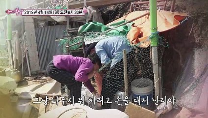 꼬부랑 부부의 인생 찬가_엄마의 봄날 187회 예고