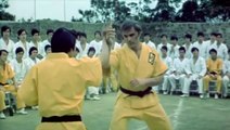 Enter The Dragon Movie (1973) Bruce Lee
