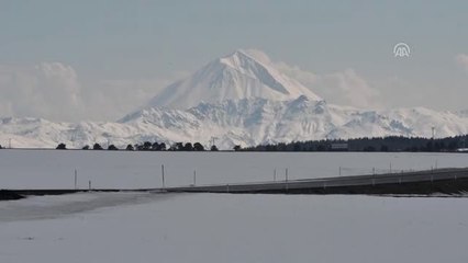 Eriyen Karlar Yaban Hayvanlarını Zorluyor