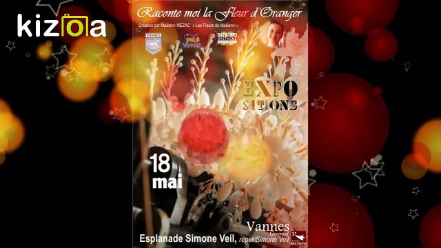 Fête de la Bretagne à Vannes