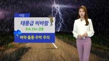 [날씨] 내일 태풍급 비바람...벼락·돌풍·우박 주의 / YTN