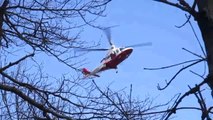 UFO attendono a Malpensa e Esercitazione Militare