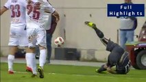 Vieirinha injury and Pelkas goal - AEL Larissa vs PAOK 14.04.2019