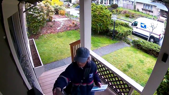 Quand le chien casse une fenêtre pendant la tournée du facteur
