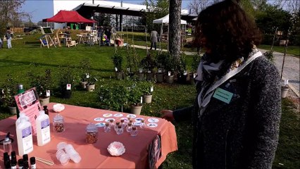 Un atelier pour fabriquer son savon à la 10e édition de Plantes en fête