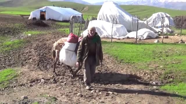 Baharın Müjdecisi Çiriş Geçim Kaynakları Oldu