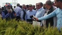 وزير الزراعة يتفقد محصول القمح بمحطة بحوث سخا فى كفر الشيخ