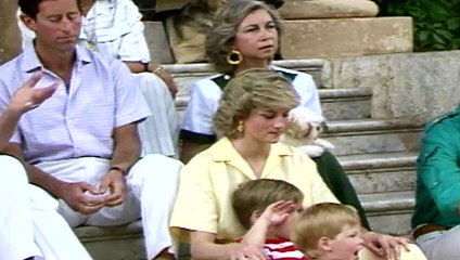 Royal Baby Countdown: Harry makes friends with a puppy