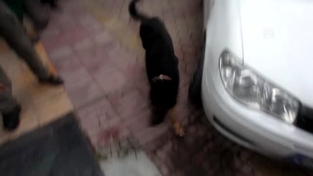 Söke'de Uyuma, Sokağına Sahip Çık Projesinin Tanıtımı Yapıldı