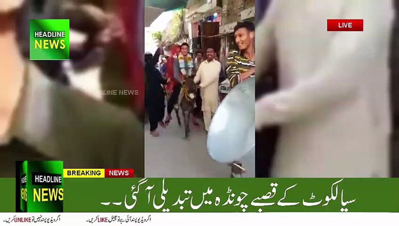 Dulha on Donkey Pakistani version funny - Pakistani Funny Clips Dulha Donkey