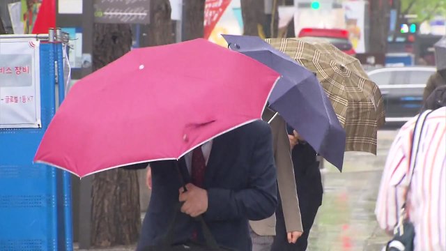 [날씨] 내일 전국 태풍급 비바람...우박·벼락 유의 / YTN