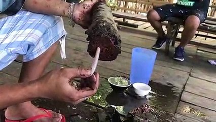 NOT SEEN BEFORE KIND OF CREATURE AND EDIBLE????