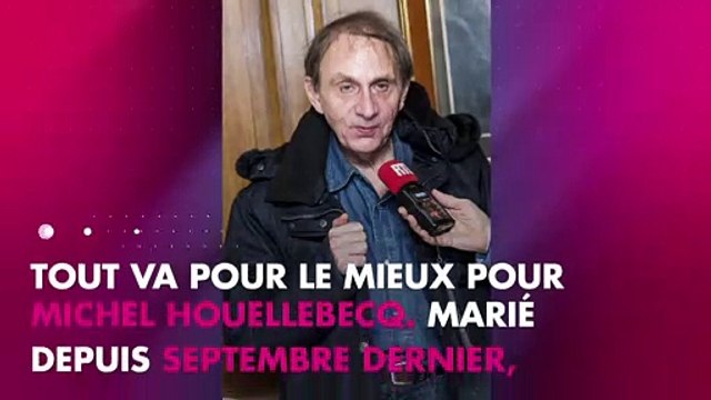 Michel Houellebecq décoré de la Légion d'honneur par Emmanuel Macron
