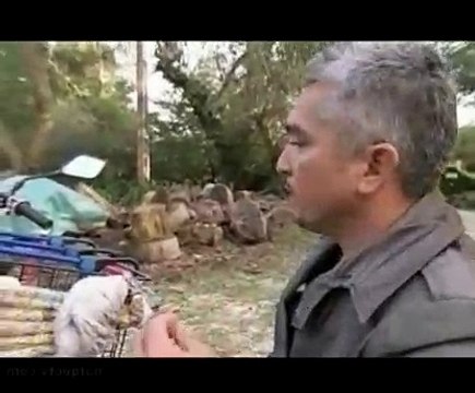 Dog Whisperer S06E08 Cesar Down Under (Pt.2)