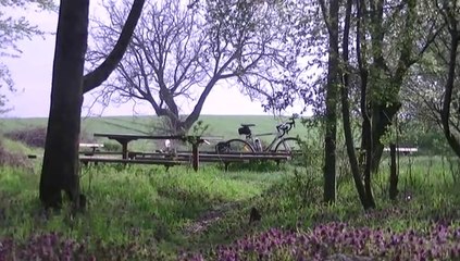 Spacince PodHaj Fail