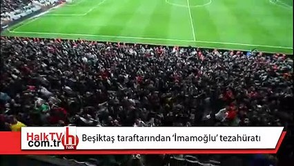 Beşiktaş taraftarından 'Mazbatayı ver' tezahüratı!