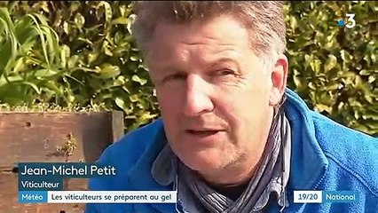 Météo : les viticulteurs se préparent au gel