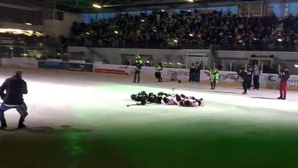 hockey sur glace : quand une otarie fait le spectacle à Poissompré