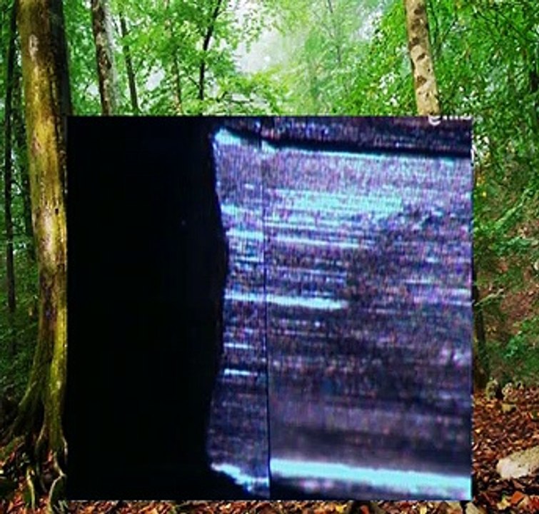 Forensic Files - 10x14 - A Leg Up On Crime