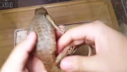 영광출장안마 -후불100%ョØ7Øp7333w9649｛카톡OP1541｝영광전지역출장마사지샵'예약'영광출장qc안마es영광출장안마 cos여3영광출장마사지황형スズセ영광콜걸